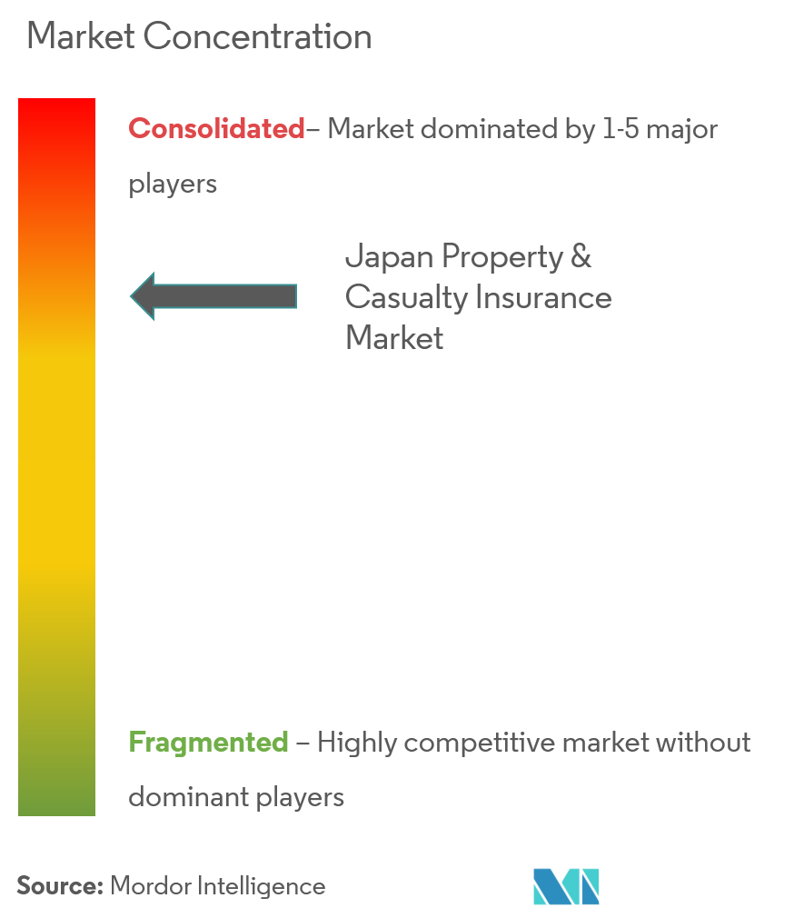 MSAD Insurance Group Holdings, Inc, Tokio Marine Nichido Fire Insurance Co., Ltd., Sompo Holdings Inc., Rakuten General Insurance Co., Ltd., Nisshin Fire Marine Insurance Co., Ltd.